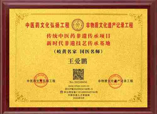 王爱鹏20238056